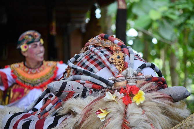 Ubud Village, With Rice Terrace and Waterfall Visit - Participant Guidelines and Policies