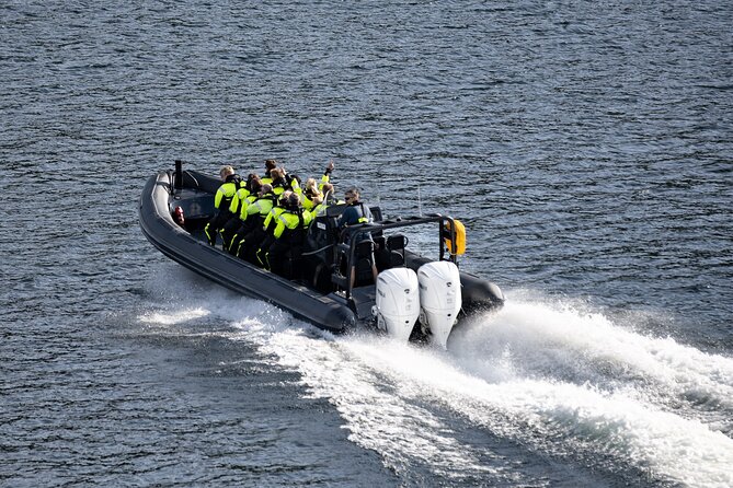Ulvik Scenic RIB Adventure Tour to Osafjord - Confirmation and Participation Details