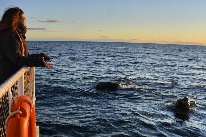 Underwater Whale Watching in Puerto Piramides - Dining and Dress Code