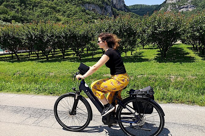Unesco Palladian Villas in Vicenza: E-Bike Private Tour With Picnic and Aperitif - Gourmet Picnic Experience