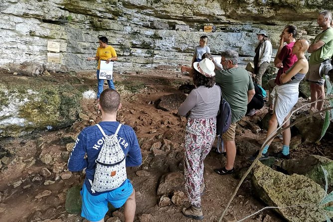 Valladolid Mayan Bees Tour With Lunch or Breakfast and Honey Tasting - Unique Cultural Insights
