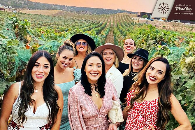 Valle De Guadalupe Winery and Brewery Tours - Winery and Brewery Experiences