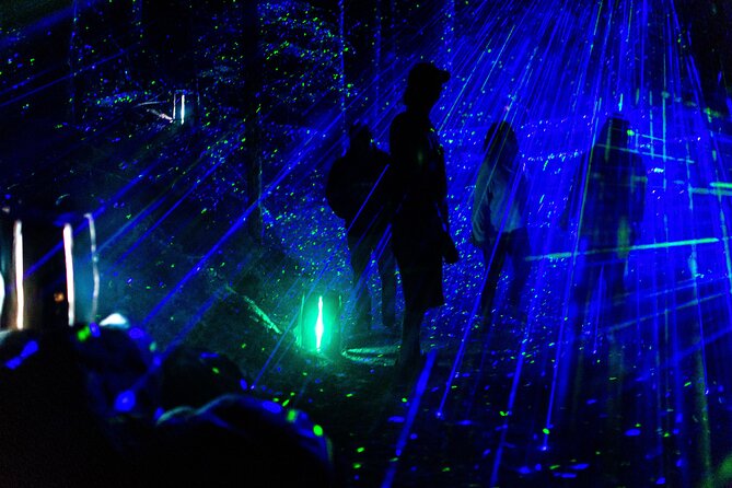 Vallea Lumina Multimedia Experience - Recommendations for Visitors