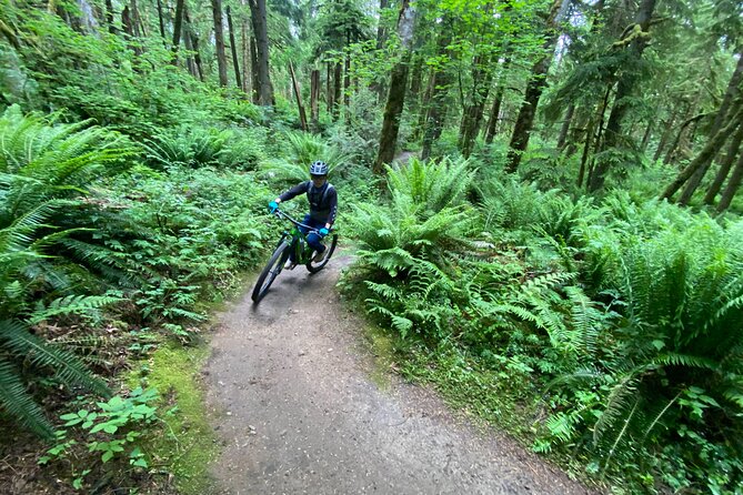 Viator Exclusive - Half Day Mountain Bike Tour From Seattle - What to Expect
