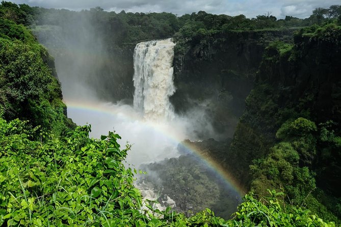Victoria Falls Private Guided Sunrise Tour - Guest Reviews and Feedback