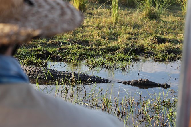 Victoria Falls: Whitewater Rafting + Chobe Safari Combo - Group Size and Fitness Requirements