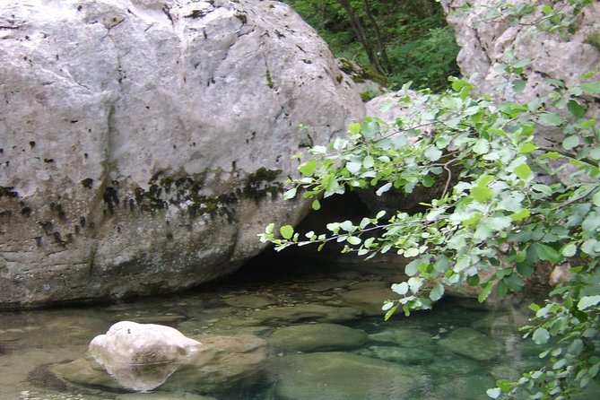 Vikos Gorge Daily Hike - Pricing and Cancellation Policy