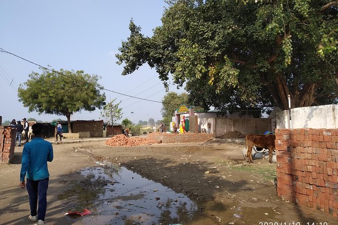 Village Tour - Customer Reviews and Feedback