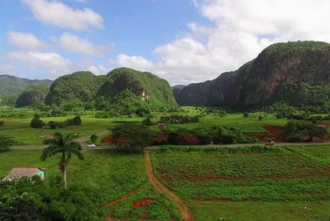 Viñales Horse Tour - Tour Operator Reviews