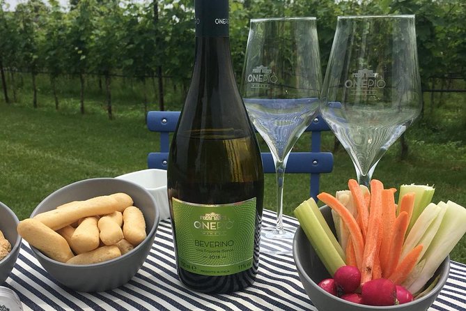 Vineyard Picnic Onepiò Winery - Personal Group Tasting