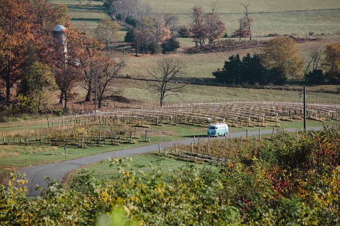 Vintage VW Private Wine Tour in Virginias Countryside - Exploring Virginias Countryside