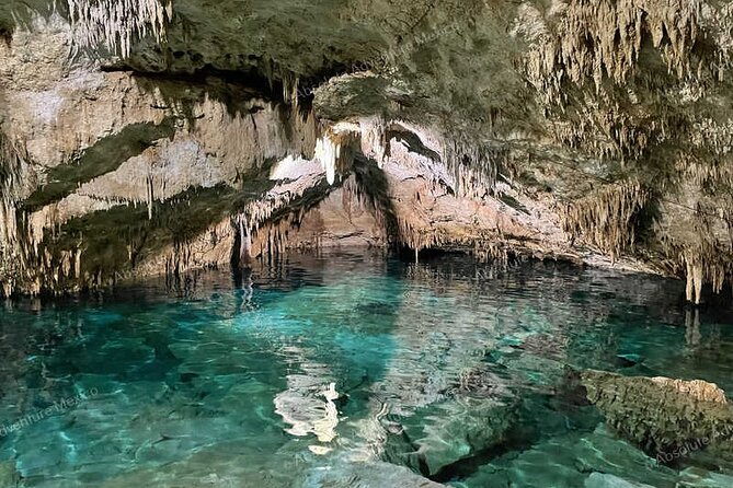 VIP 2 Cenotes Tour Adventure With Private Guide - Cenote Exploration