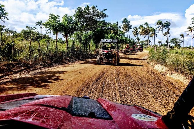 VIP Caribbean Terracross With Macao Beach and Cave - Tour Highlights and Activities