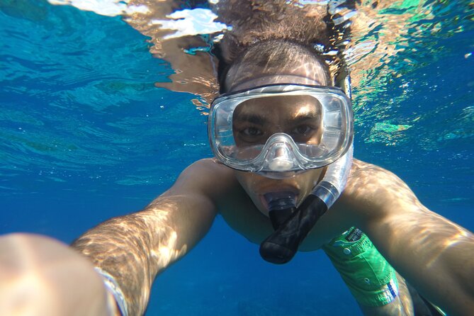 VIP Cenotes Private Tour (half-day) - Tour Highlights