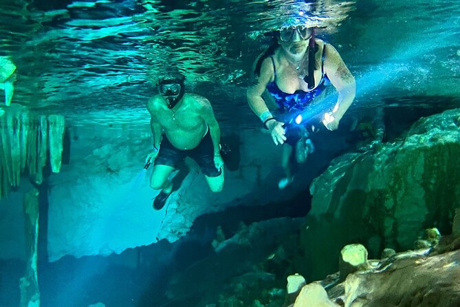 VIP Cenotes & Turtles Private Tour - Pricing and Availability