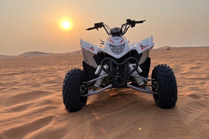 VIP Evening Desert Safari, ATV 30 MIN, Camel Ride, BBQ, 10 Shows - Ratings and Traveler Feedback