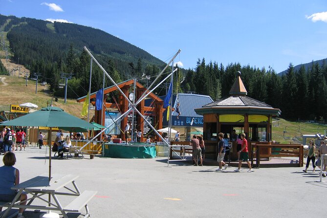 VIP Private Sedan Transfer Whistler BC to Vancouver Intl. Airport - Pricing and Cancellation