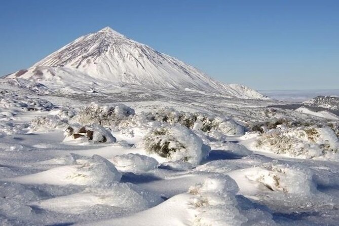 VIP Tour in Teide Icod Garachico and Masca in English - Visiting the Historic Towns