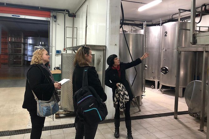 Visit and Private Tasting at the Txakolí Gaintza Winery - Customer Support and Product Code