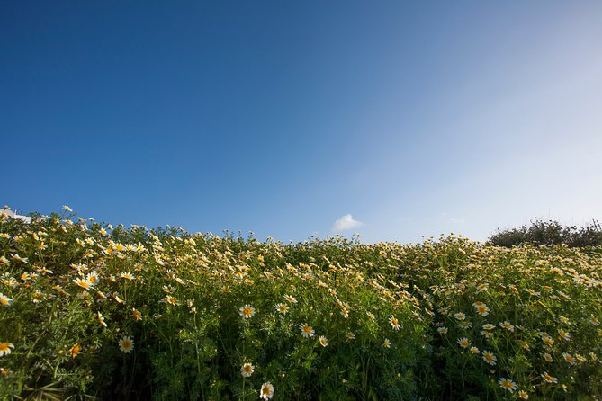 Visit the Highlights of Santorini Island. - Captivating Hiking Trails