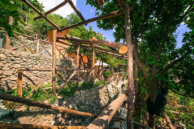 Visit to a Lemon Grove on the Amalfi Coast With Tasting - Lemon Grove Tour and Tasting