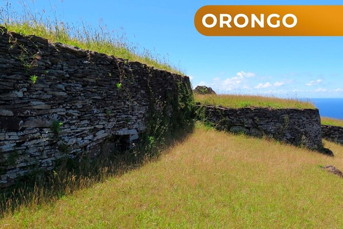 Volcanic Wonders and the Kingdom of the Birdman: Half Day - Highlights of the Half-Day Tour