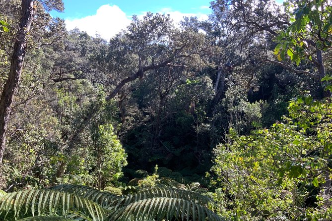 Volcanoes National Park - From Kona - Customer Reviews and Ratings