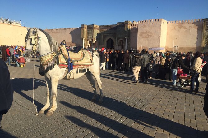 Volubilis, Meknes, Moulay Idriss: Full Day Private Tour From Fes, Morocco - Frequently Asked Questions