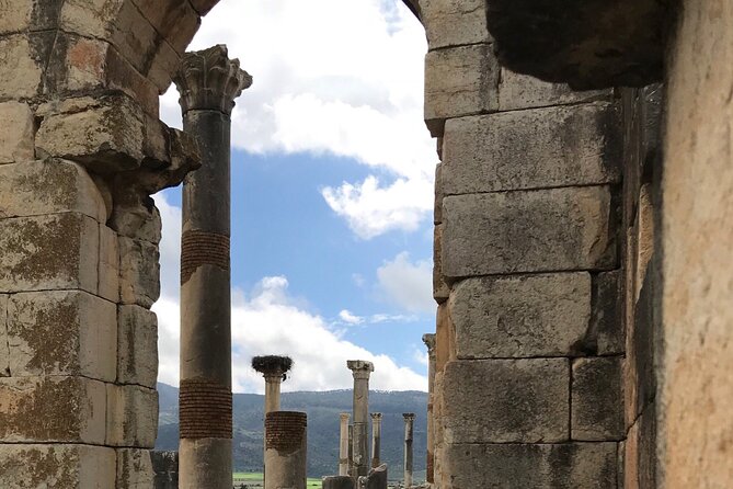 Volubilis, Moulay Idriss and Meknes Day Trip From Fez - Health and Accessibility Requirements