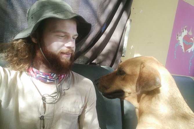 Volunteering With Animals in Sao Vicente! - Positive Reviews and Feedback