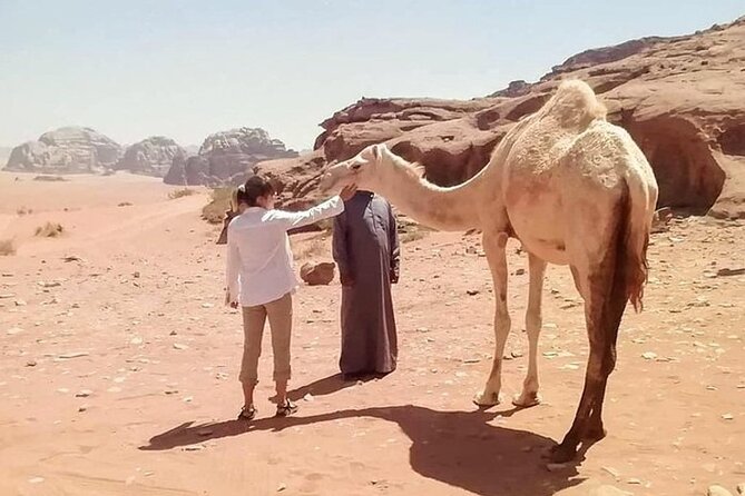 Wadi Rum Full-Day Private Tour From Amman or Airport - Exploring Wadi Rum