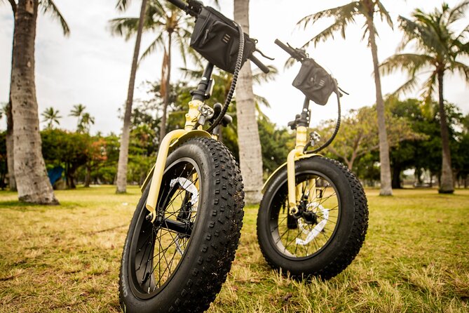 Waikiki Electric Bike Tour Self Guided: Diamond Head Bike & Hike - Customer Reviews Overview