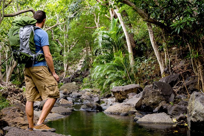 Wailua Valley & Waterfalls Audio Driving Tour - Daily Availability and Cancellation Policy