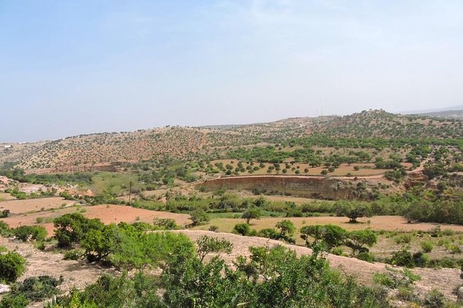 Walk Between Argan Forest, Ocean & Waterfalls - Transportation and Logistics