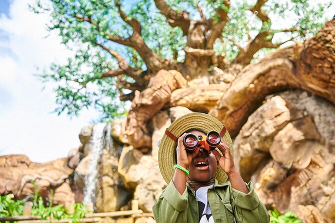 Walt Disney World Park Hopper Tickets - Hotel Pick-up and Drop-off