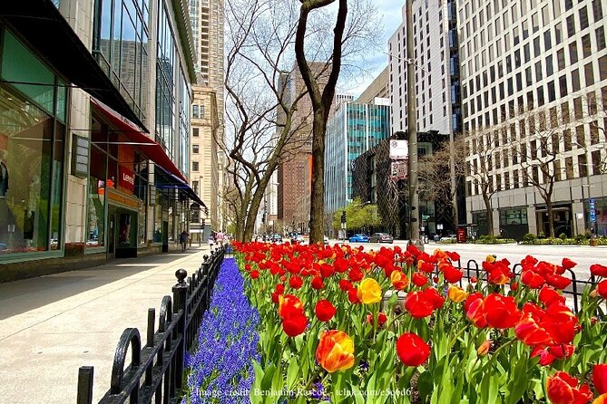 Welcome to Chicago: Private Half-Day Tour With 360 Observation Deck - Experience the 360 Observation Deck