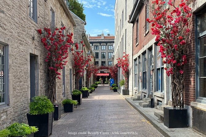 Welcome to Montreal's Old Town: Private 2-hour Walking Tour - Discover Historical Landmarks