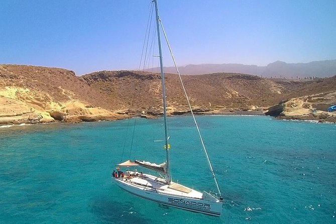 Whale and Dolphin Watching Cruise With Snacks & Open Bar - Traveler Reviews