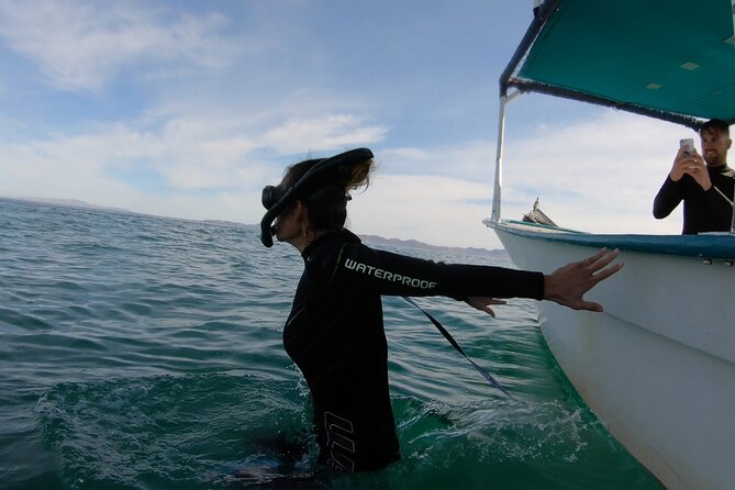 Whale Shark Adventure With Marine Biologists, 4-Hour Tour - Highlights and Memorable Moments
