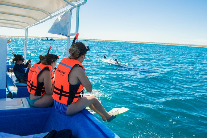 Whale Shark Snorkeling Tour in a Reduced Group With Local Marine Biologist - Group Size and Exclusivity