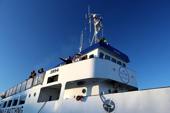 Whale Watching and Marine Life Tour in Reykjavik - Customer Experiences