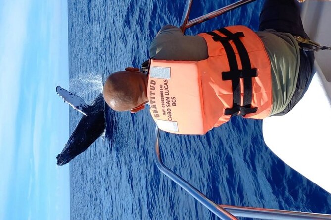 Whale Watching With Hydrophone in Cabo San Lucas - Hydrophone Technology