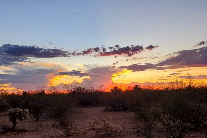 When Nature Calls - Exploring the Sonoran Desert - Traveler Reviews and Experiences
