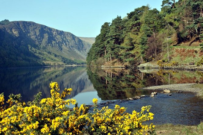Wicklow Tour of Glendalough - Shopping at Avoca Woollen Mill