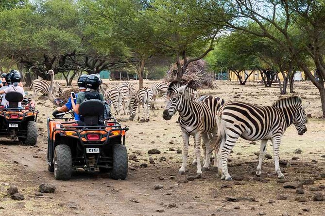 Wild Animals South West Tour : SAFARI JEEP CASELA PARK & LE MORNE - Safari Experience Overview