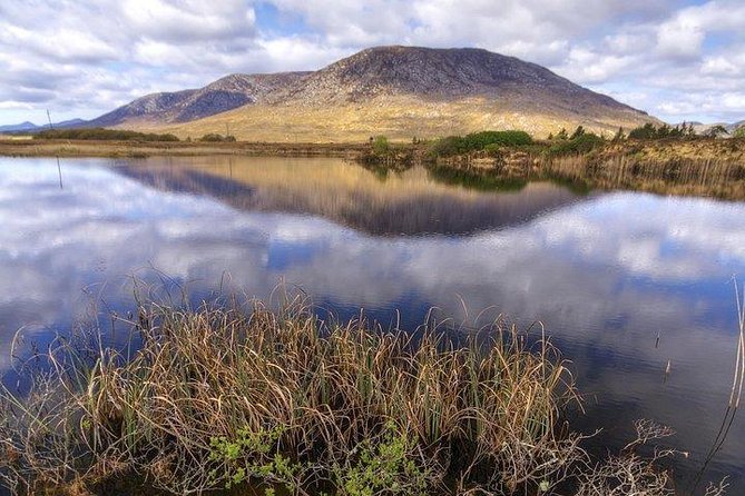 Wild Brown Trout Fishing. Lough Corrib. French Speaking Ghillie/Guide. Full Day. - The Sum Up