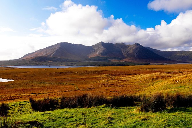 Wild Red Deer Viewing Safari, Connemara. Guided 3hrs - Exploring Connemara Independently