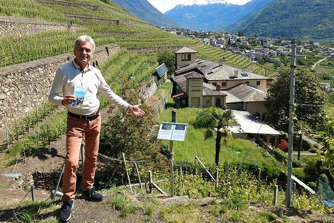 Wine and Food Tasting PRIVATE Guided Tour - Reviews and Pricing Details