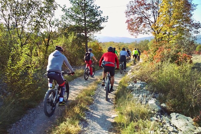 Wine Cycling Tour by E-Bike - Cycling on E-Bikes