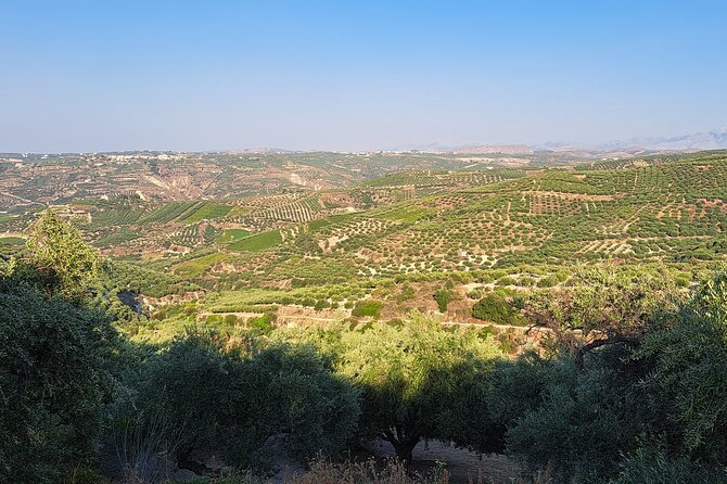Wine Raki Olive Oil Tasting and Pottery - Small Group - Customer Feedback and Experiences